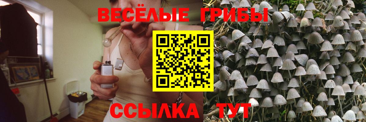 Псилоцибиновые грибы прущие грибы  Вход с VPN  Волжск 